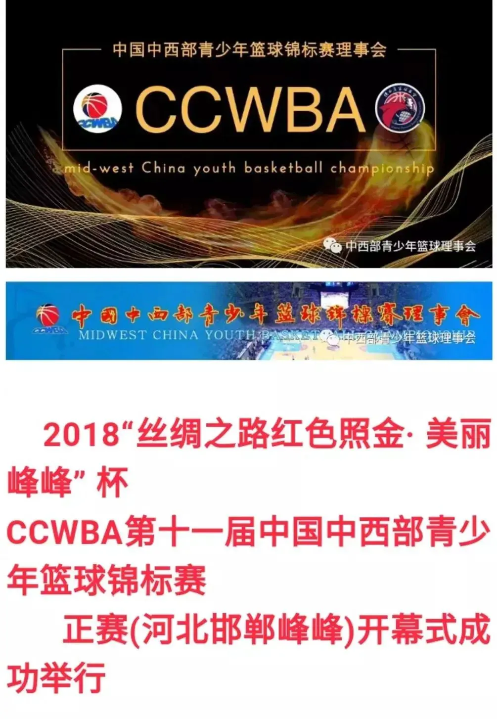 篮球协调训练的成功案例分析_2